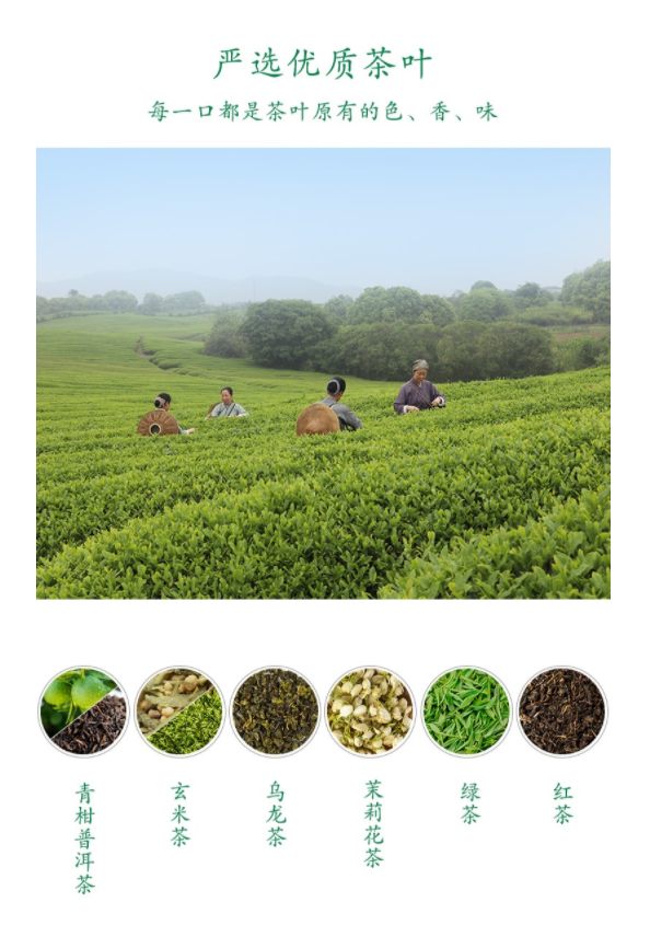 Grocery :: Drinks :: DFSY-Oolong tea drink (original flavour)  东方树叶乌龙茶原味茶饮料500ml