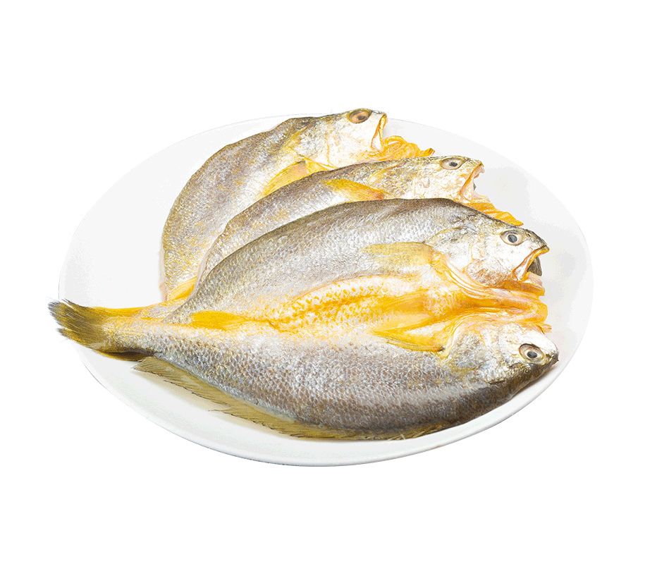 Frozen Food :: Frozen Seafood :: YXF-Butterflied Farmed Yellow Croaker ...